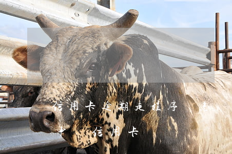 信用卡逾期走程序會怎樣怎樣(有過逾期怎么申請信用卡)