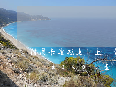 信用卡逾期走訪上門(欠信用卡說要上門走訪調(diào)查)