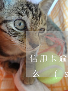 信用卡逾期走訪單位(信用卡逾期走訪單位怎么說(shuō))