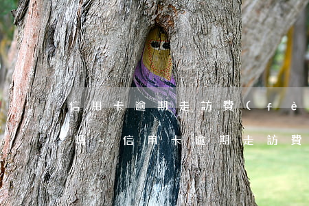 信用卡逾期走訪費(fèi)用是持卡人出嗎-信用卡逾期走訪費(fèi)用是持卡人出嗎