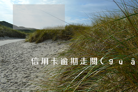 信用卡逾期走關(guān)懷通道