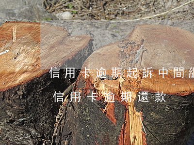 信用卡逾期起訴中間繼續(xù)還款(中信信用卡逾期還款)