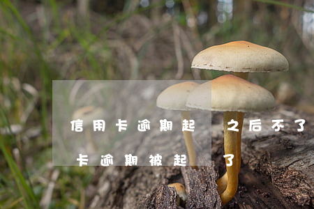 信用卡逾期起訴之后不了了之多嗎-欠信用卡逾期被起訴了
