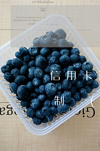 信用卡逾期起訴之后申請強(qiáng)制執(zhí)行(被強(qiáng)制執(zhí)行信用卡欠款怎么辦)