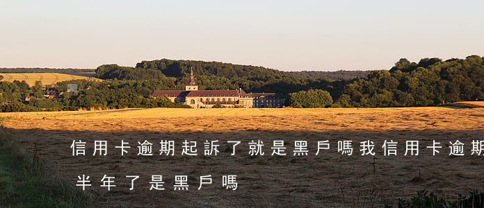 信用卡逾期起訴了就是黑戶嗎 我信用卡逾期半年了是黑戶嗎