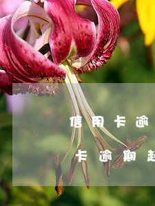 信用卡逾期起訴了微信(有律師聯系我說信用卡逾期起訴了)