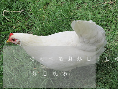 信用卡逾期起訴了該咋辦(銀行對信用卡逾期起訴流程)