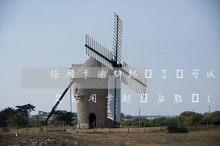 信用卡逾期起訴了還可以協(xié)商嗎(欠信用卡起訴后能協(xié)商嗎)