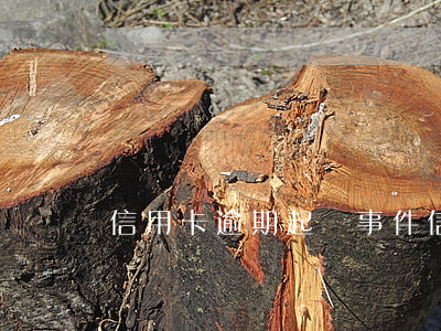 信用卡逾期起訴事件(信用卡逾期起訴事件)