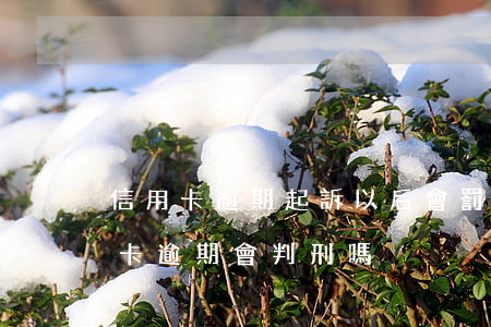 信用卡逾期起訴以后會罰款嗎-銀行的信用卡逾期會判刑嗎