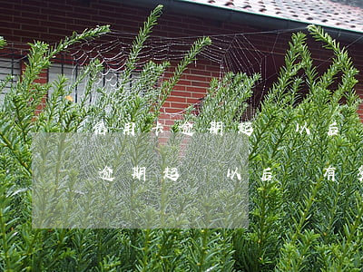 信用卡逾期起訴以后還有多少時間-信用卡逾期起訴以后還有多少時間開庭