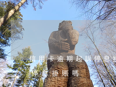信用卡逾期起訴停息掛賬(欠信用卡可以申請停息掛賬嗎)