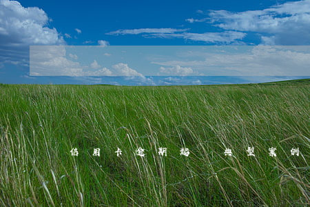 信用卡逾期起訴典型案例(信用卡逾期被告)