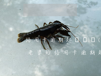 信用卡逾期起訴凍結(jié)妻子微信-老婆的信用卡逾期起訴了會(huì)凍結(jié)老公的銀行卡嗎