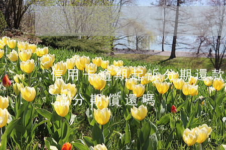 信用卡逾期起訴分期還款(信用卡逾期可以申請分期償還嗎)