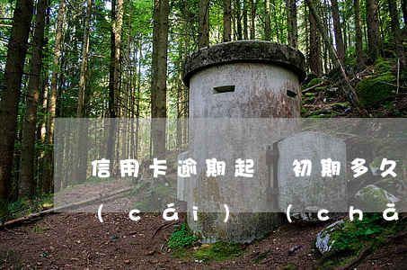 信用卡逾期起訴初期多久凍結(jié)財(cái)產(chǎn)-信用卡逾期起訴初期多久凍結(jié)財(cái)產(chǎn)啊