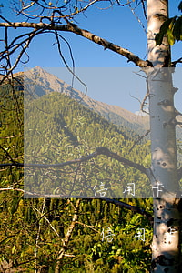 信用卡逾期起訴判了怎么辦(銀行去法院起訴信用卡逾期怎么辦)