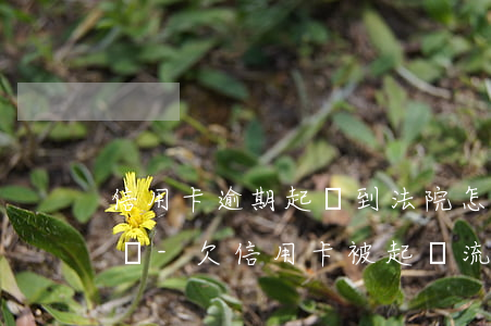 信用卡逾期起訴到法院怎么應(yīng)訴-欠信用卡被起訴流程
