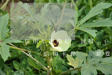 信用卡逾期起訴到被執(zhí)行需要多久-信用卡起訴開庭要去嗎