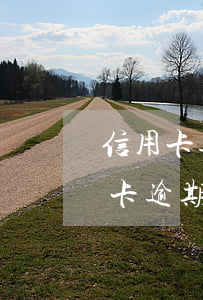 信用卡逾期起訴到開庭需要多久時間-信用卡逾期起訴到開庭需要多久時間呢