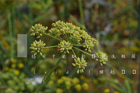 信用卡逾期起訴前流程 因服刑信用卡逾期現(xiàn)被起訴該怎么做