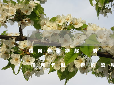 信用卡逾期起訴前讓錢回執(zhí)單(欠信用卡起訴前的流程)