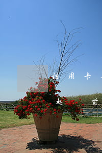信用卡逾期起訴前還款還起訴嗎(欠信用卡被起訴前還了部分還會被起訴嗎)