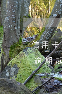 信用卡逾期起訴去哪查詢(2021年信用卡逾期起訴)