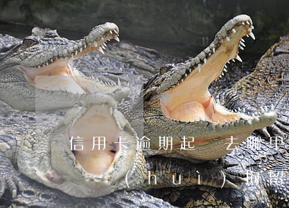 信用卡逾期起訴去哪里處理(欠信用卡逾期起訴會(huì)拘留嗎)