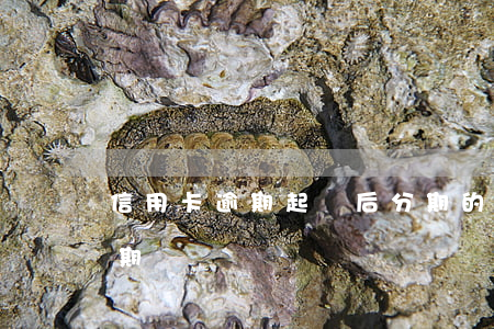 信用卡逾期起訴后分期的車(被起訴名下有分期車)