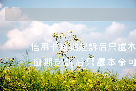 信用卡逾期起訴后只還本金可以嗎-信用卡逾期起訴后只還本金可以嗎
