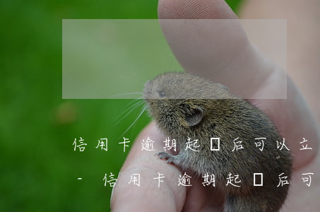 信用卡逾期起訴后可以立案嗎浦發(fā)-信用卡逾期起訴后可以立案嗎浦發(fā)銀行