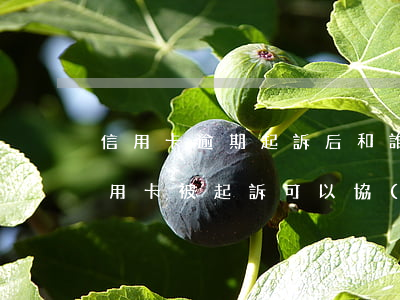 信用卡逾期起訴后和誰協(xié)商(欠信用卡被起訴可以協(xié)商還款嗎)