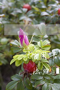信用卡逾期起訴后工作還會(huì)有-法院現(xiàn)在還接受信用卡逾期案件嗎
