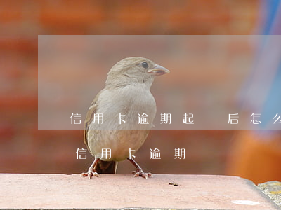 信用卡逾期起訴后怎么提出管轄(法院如何判信用卡逾期)
