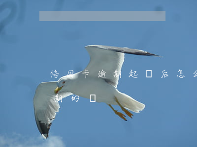 信用卡逾期起訴后怎么還錢(怎么還信用卡逾期的錢)