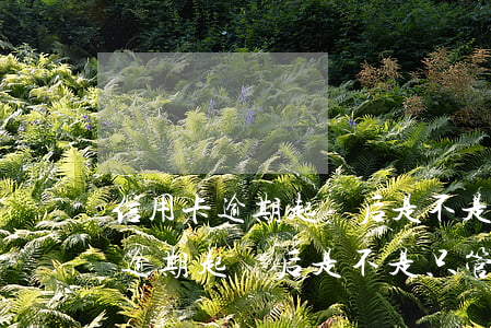 信用卡逾期起訴后是不是只管本金-信用卡逾期起訴后是不是只管本金了