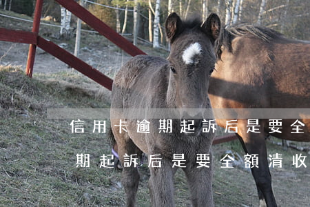 信用卡逾期起訴后是要全額清收嗎 信用卡逾期起訴后是要全額清收嗎