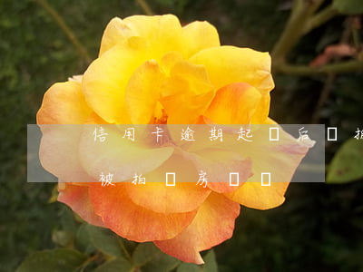 信用卡逾期起訴后會拍賣房產嗎 欠信用卡會被拍賣房產嗎