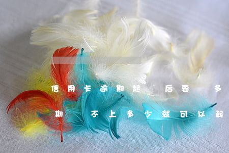 信用卡逾期起訴后要還多少本息(欠信用卡逾期還不上多少就可以起訴了)
