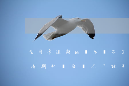 信用卡逾期起訴后還不了就是老賴-信用卡逾期起訴后還不了就是老賴了嗎