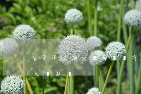 信用卡逾期起訴后還會有利息嗎(欠信用卡多久會起訴)