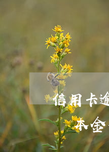 信用卡逾期起訴后還本金(欠信用卡起訴了只還本金行嗎)