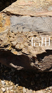 信用卡逾期起訴后還款怎么辦(有逾期還款記錄還能申請(qǐng)信用卡嗎)