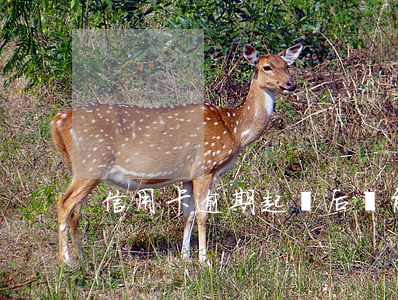 信用卡逾期起訴后還能追回嗎