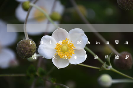 信用卡逾期起訴后還要還錢進(jìn)去嗎-欠信用卡逾期被起訴