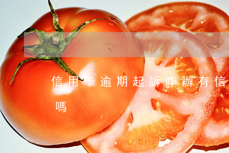 信用卡逾期起訴咋辦(有信用卡逾期被起訴的嗎)