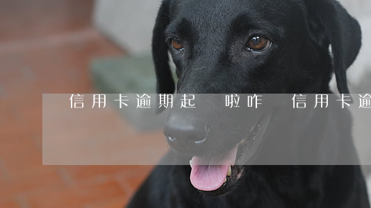 信用卡逾期起訴啦咋辦(信用卡 逾期了怎么辦)