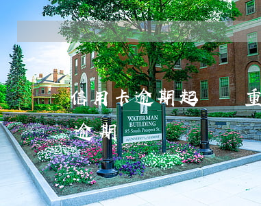 信用卡逾期起訴嚴重嗎-銀行會起訴信用卡逾期嗎