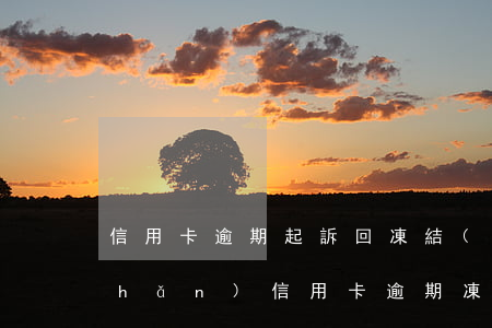 信用卡逾期起訴回凍結(jié)房產(chǎn)(信用卡 逾期 凍結(jié))